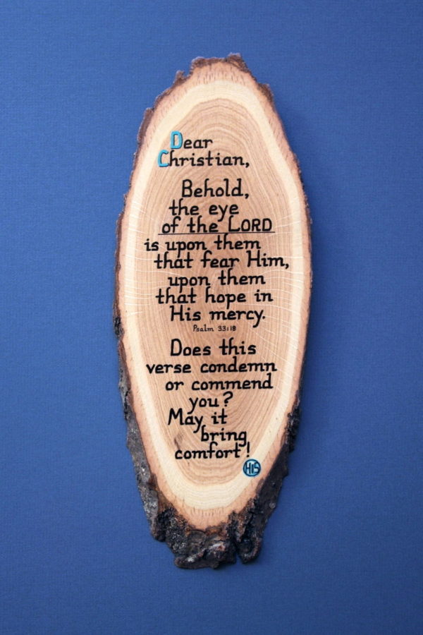 Dear Christian Wooden Scripture Plaque