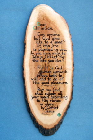 Dear Christian Wooden Scripture Plaque